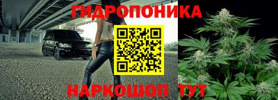 apvp Ливны